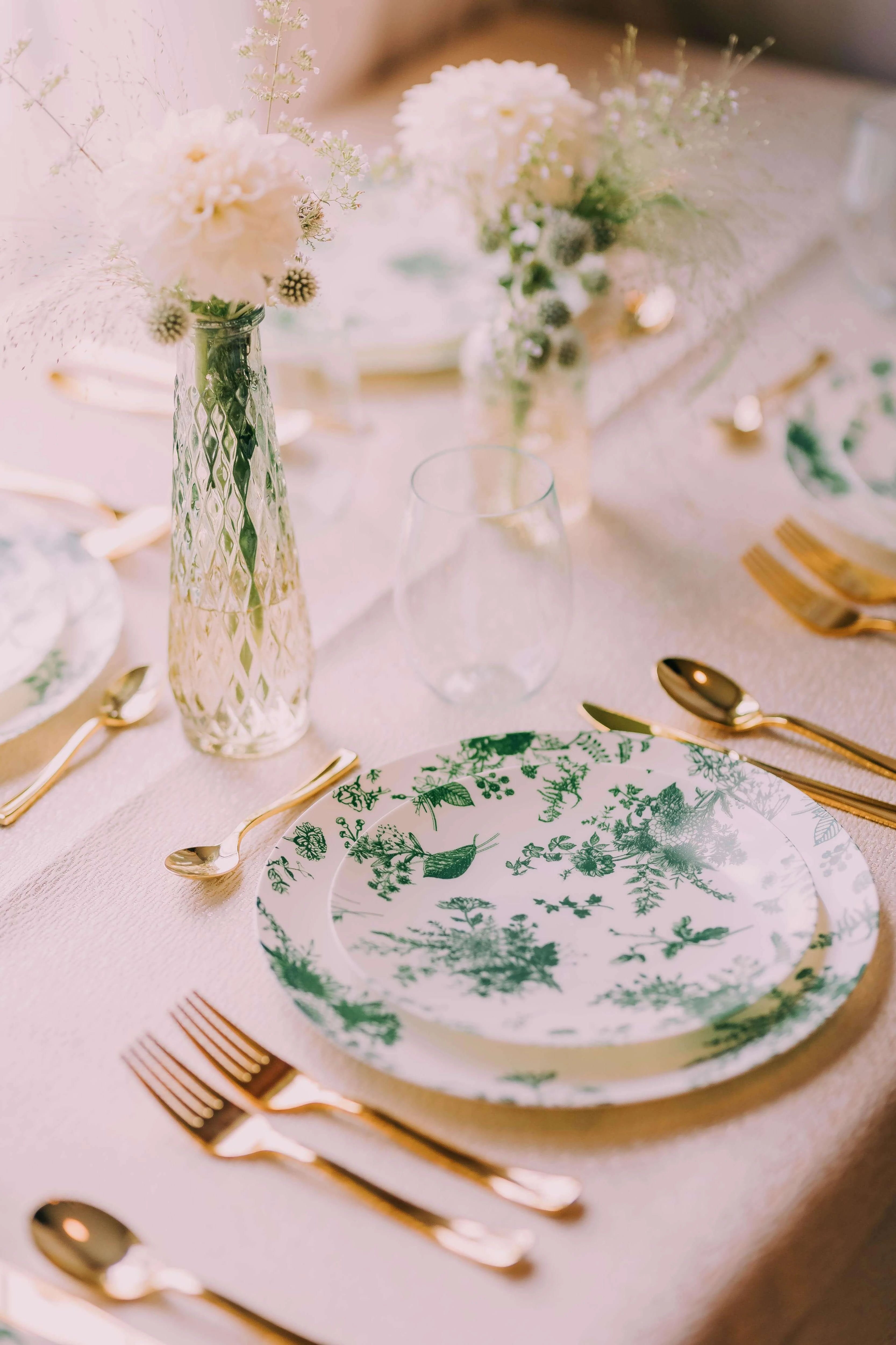 Elegant Combo Sets | Disposable Dinnerware Sets