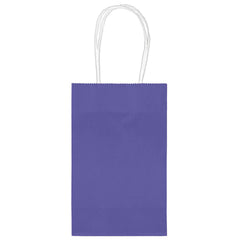 Vibrant New Purple Kraft Gift Bag, 10-pk
