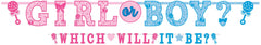 "Girl or Boy?" Garland Banner, Blue/Pink, 9.5-inch, 2-pk