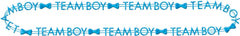 Team Boy or Team Girl Beaded Necklaces, Pink/Blue, 10-pk