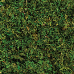 Natural Moss Decor - 4.2 oz - Case of 24