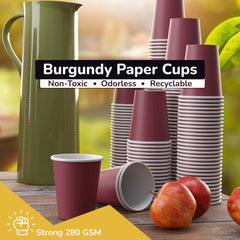 12 Oz. Burgundy Paper Cups | 100 Count