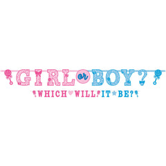 "Girl or Boy?" Garland Banner, Blue/Pink, 9.5-inch, 2-ct - Case of 48