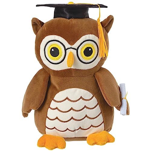 Graduation Owl Balloon Weight - Pack of 6