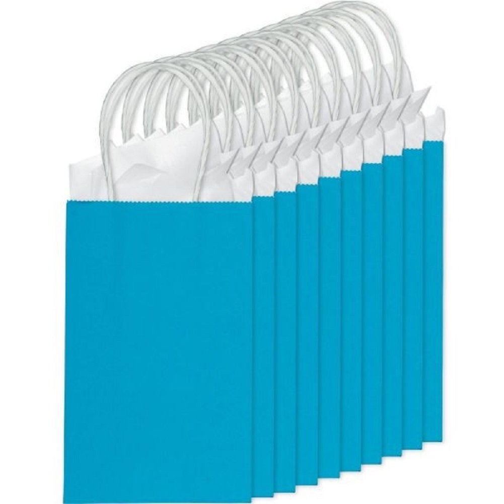 Caribbean Blue Kraft Paper Gift Bags - Value Pack - Pack of 6