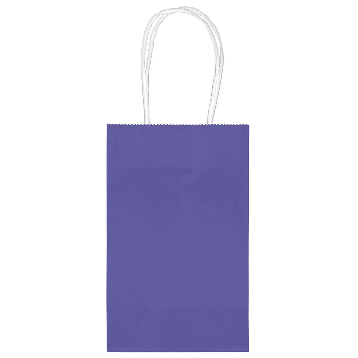 Vibrant New Purple Kraft Gift Bag, 10-pk