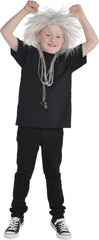 Crazy Rocker Hair Wig, One Size, Costume Accessory