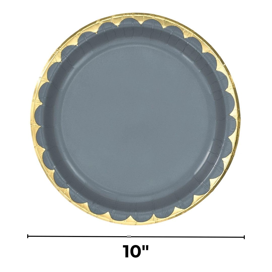 Elegant Silver 10-inch Paper Dinner Plates, 8-pk