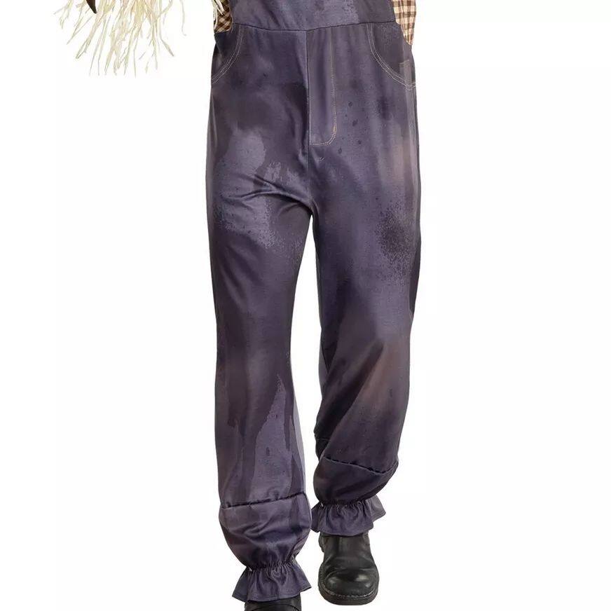 Men's Sinister Scarecrow Costume, Assorted Sizes