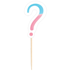 Question Mark Paper Party Picks, Pink/Blue, 4-inch, 24-ct - Pack of 2