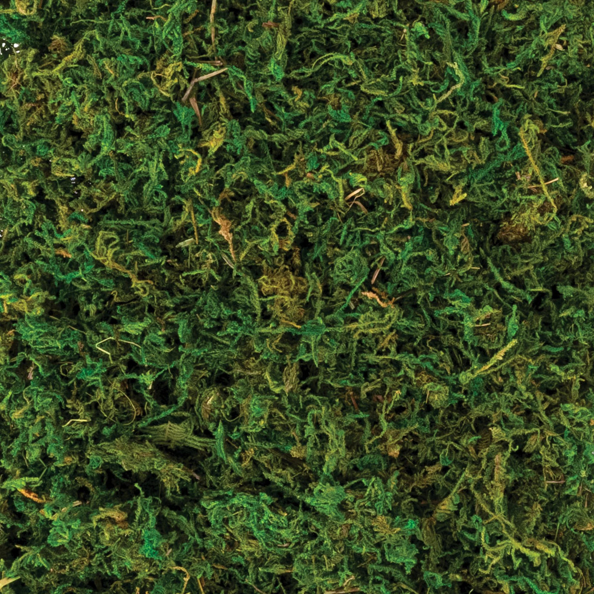 Natural Moss Decor - 4.2 oz - Case of 24
