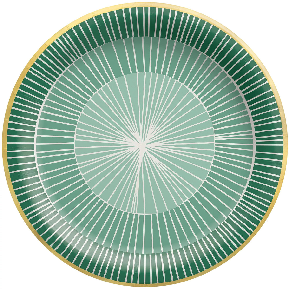 Crafted Artisan 10-inch Round Paper Plates, 20-ct - Pack of 6
