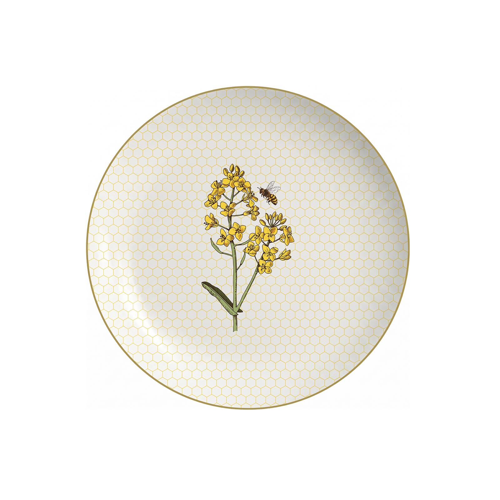 Earthtrends Nectar Paper Combo Set | 160 10 In. + 160 8 In.