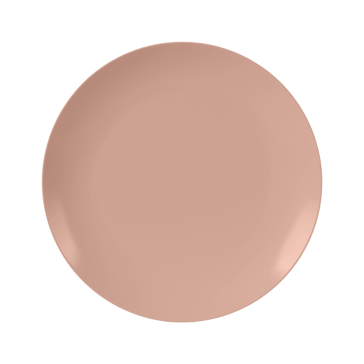 10 In. Blush Plastic Plates | 40 Count