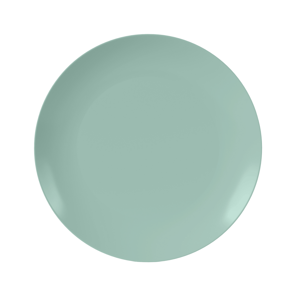 10 In. Eucalyptus Plastic Plates | 40 Count