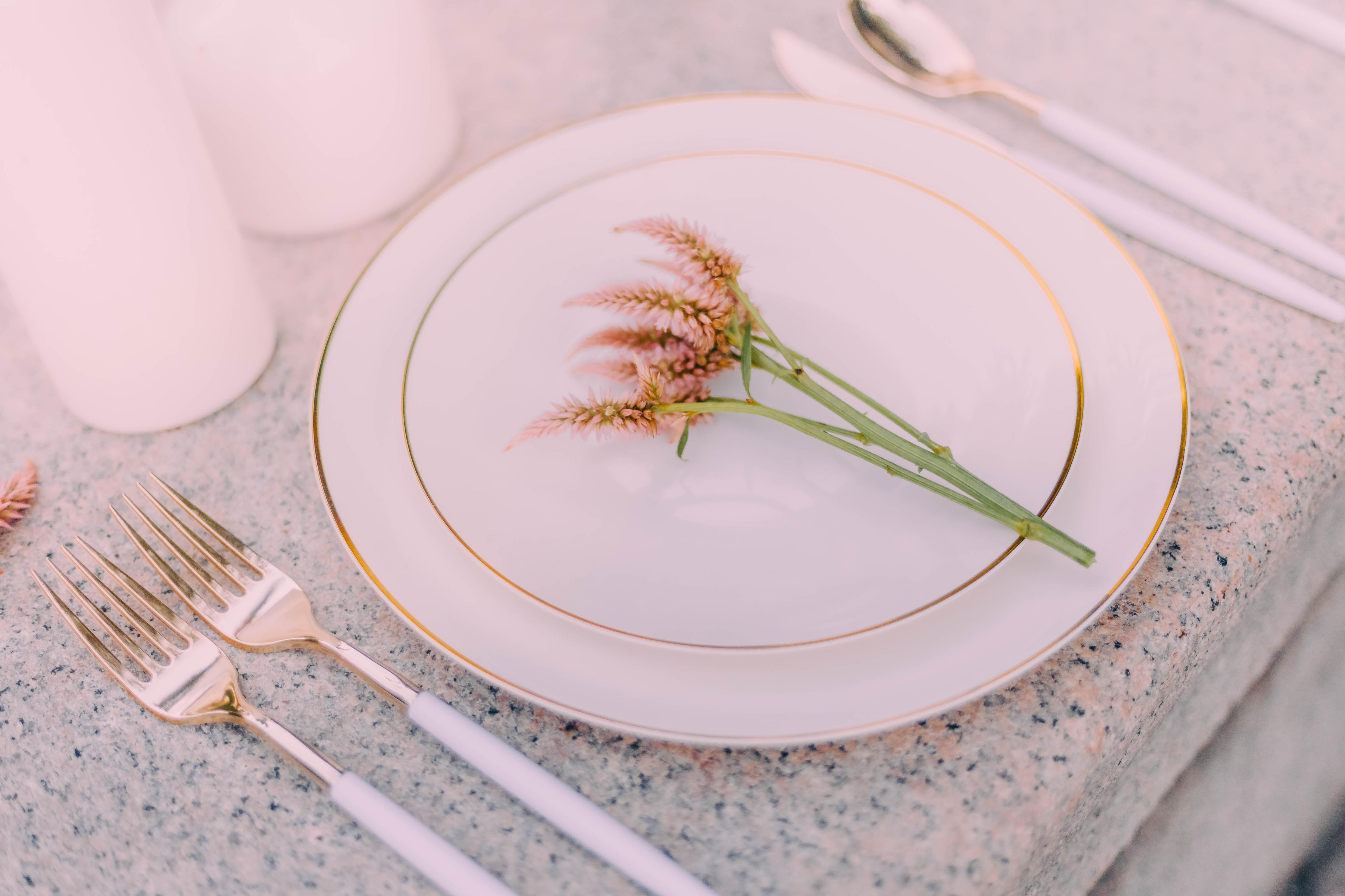 10 In. Classic Ivory Design Plastic Plates | 40 Count