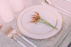 10 In. Classic Ivory Design Plastic Plates | 40 Count