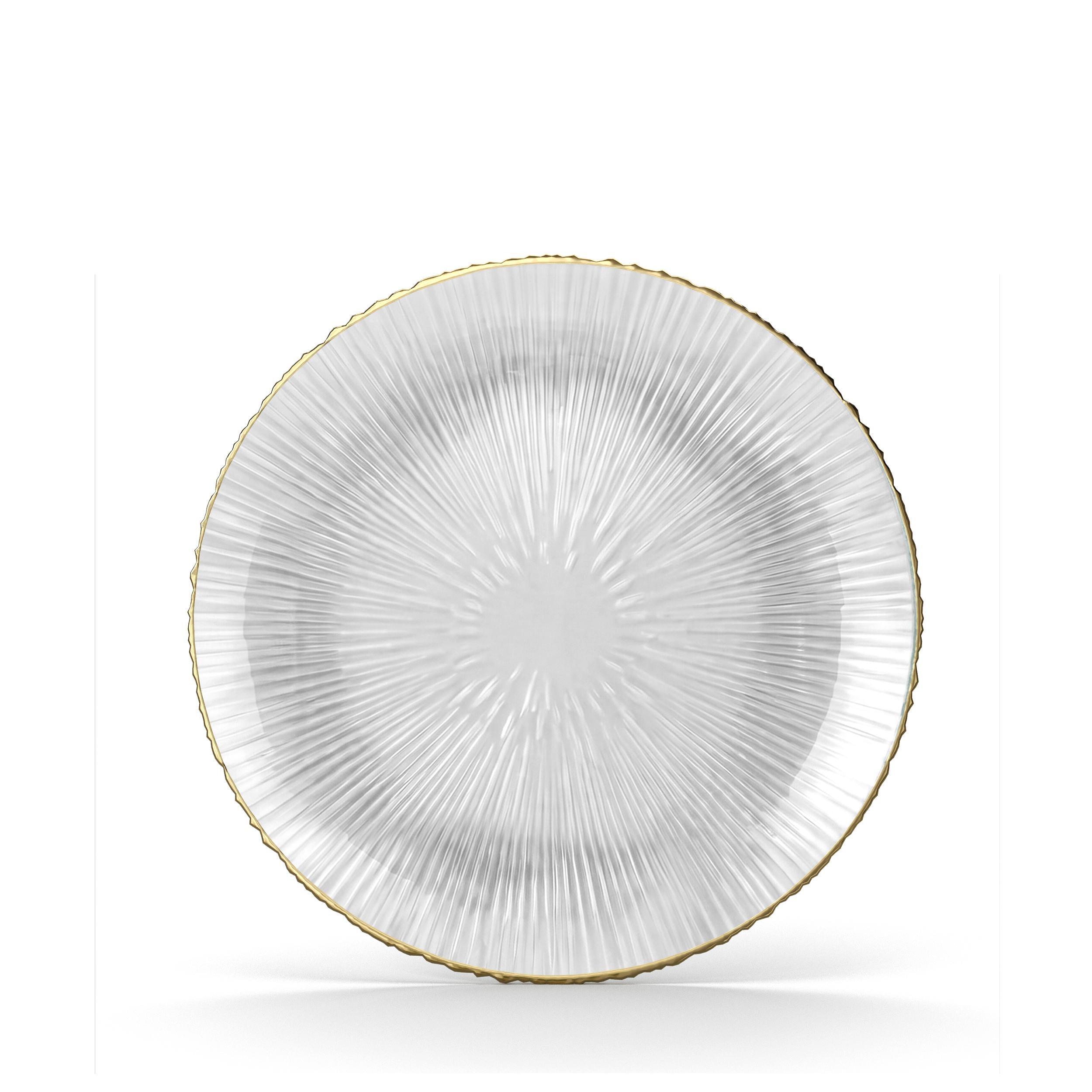 Clear Burst Plate Combo | 30 10-inch + 30 7-inch
