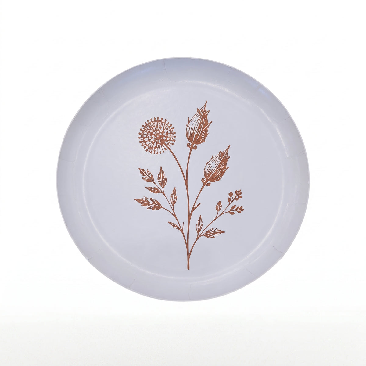 8 In. Earthtrends Harvest Paper Plates | 40 Count