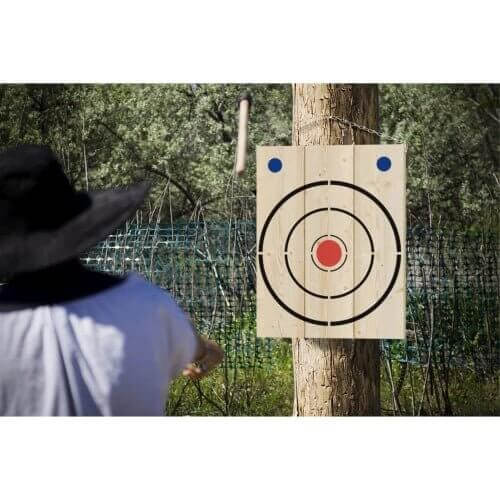 Axe throwing Board with Axes and Knives