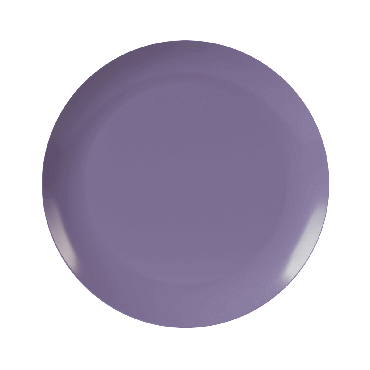 10" Purple Rose Design Plastic Plates (120 Count) - Yom Tov Settings
